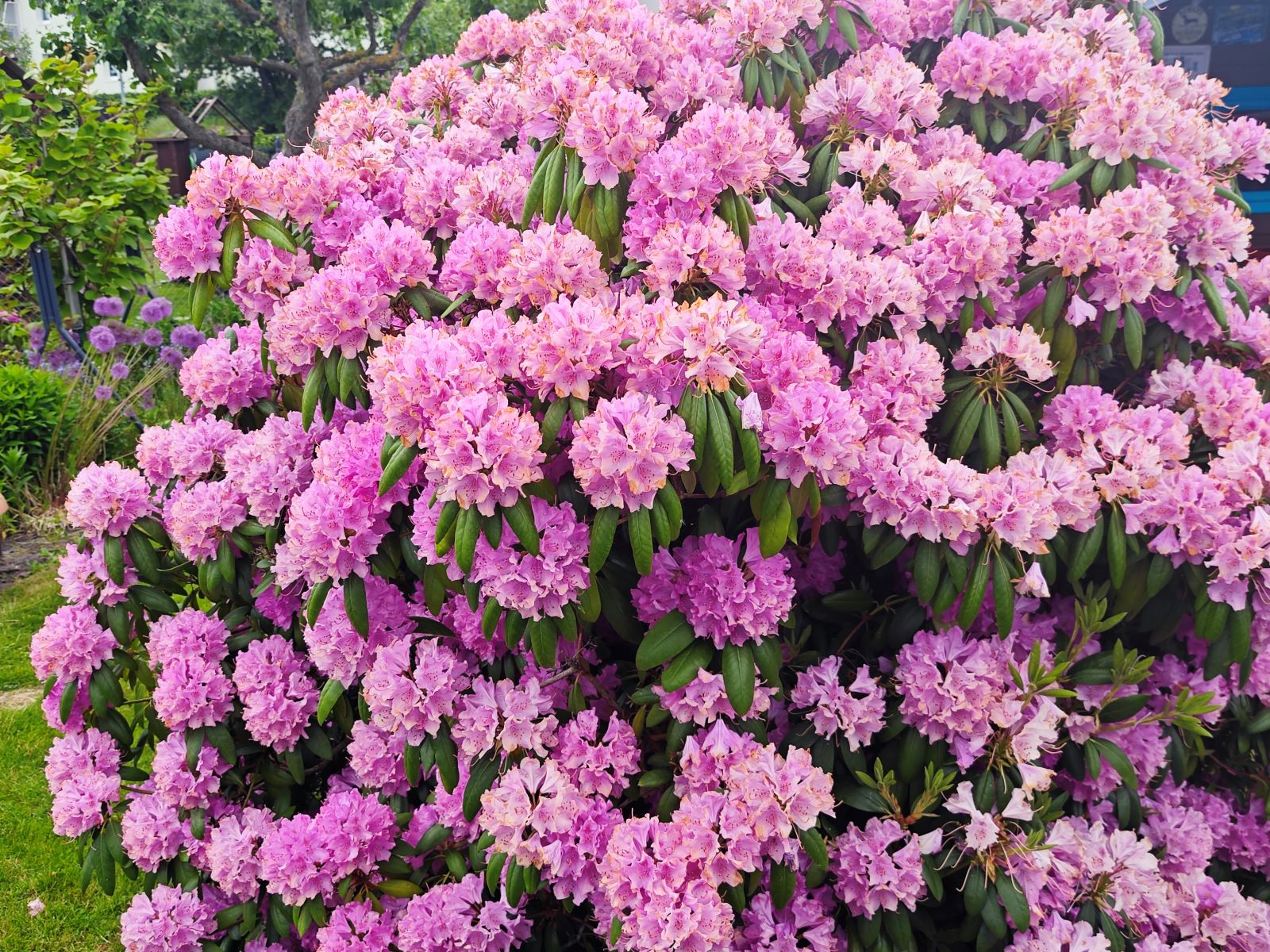Eindruck aus der Gartenanlage 2
