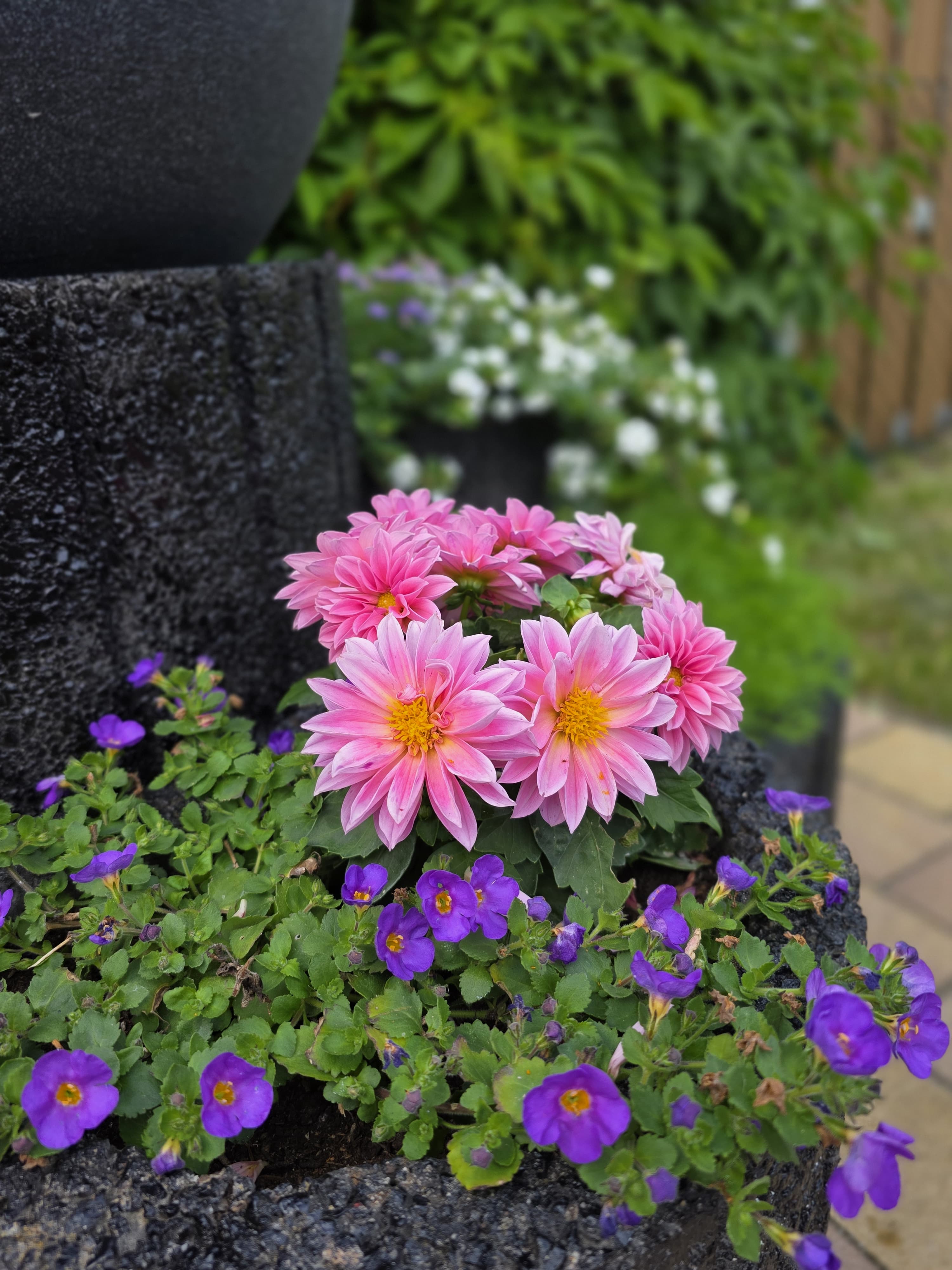 Eindruck aus der Gartenanlage 5