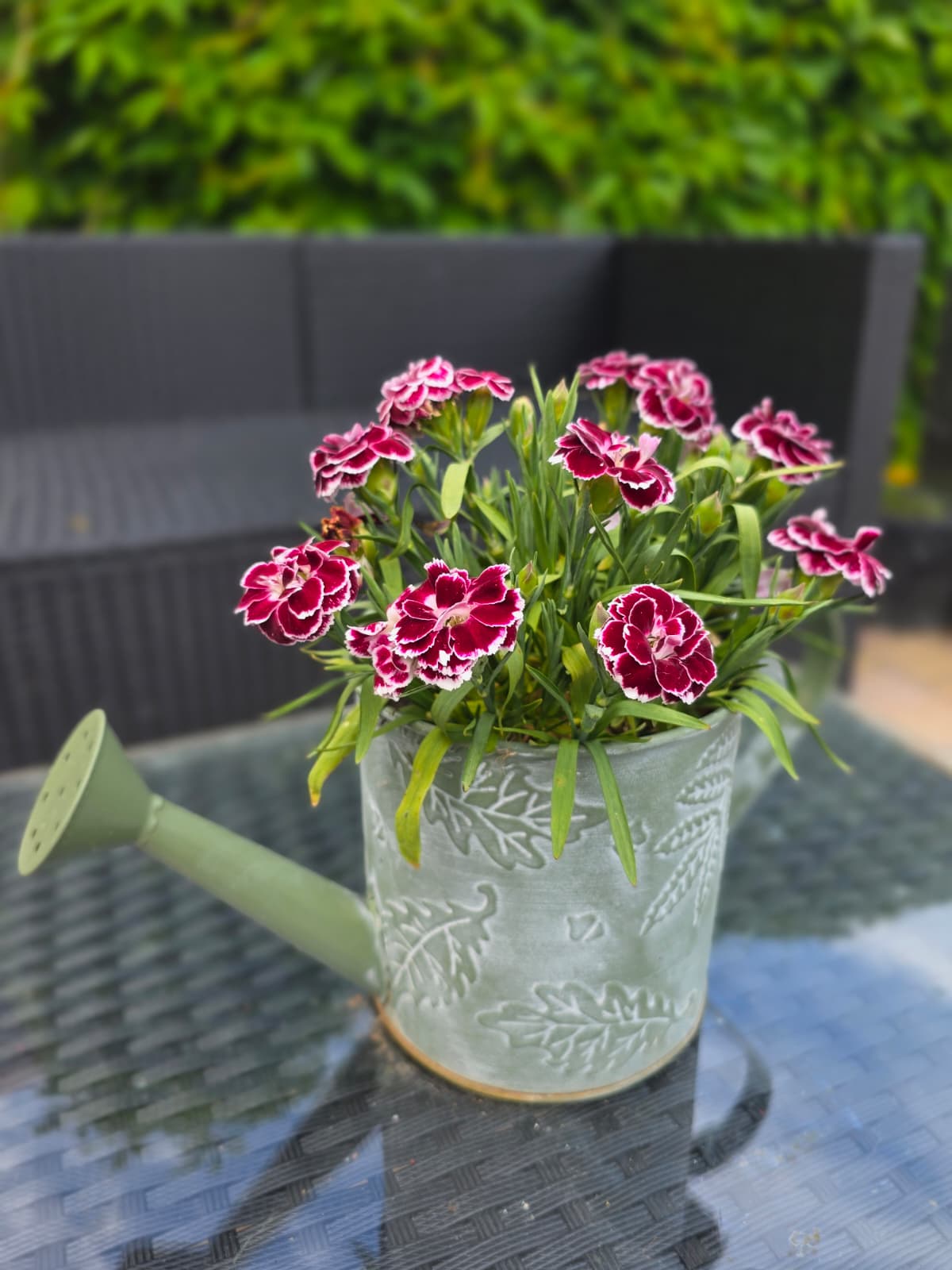 Eindruck aus der Gartenanlage 6
